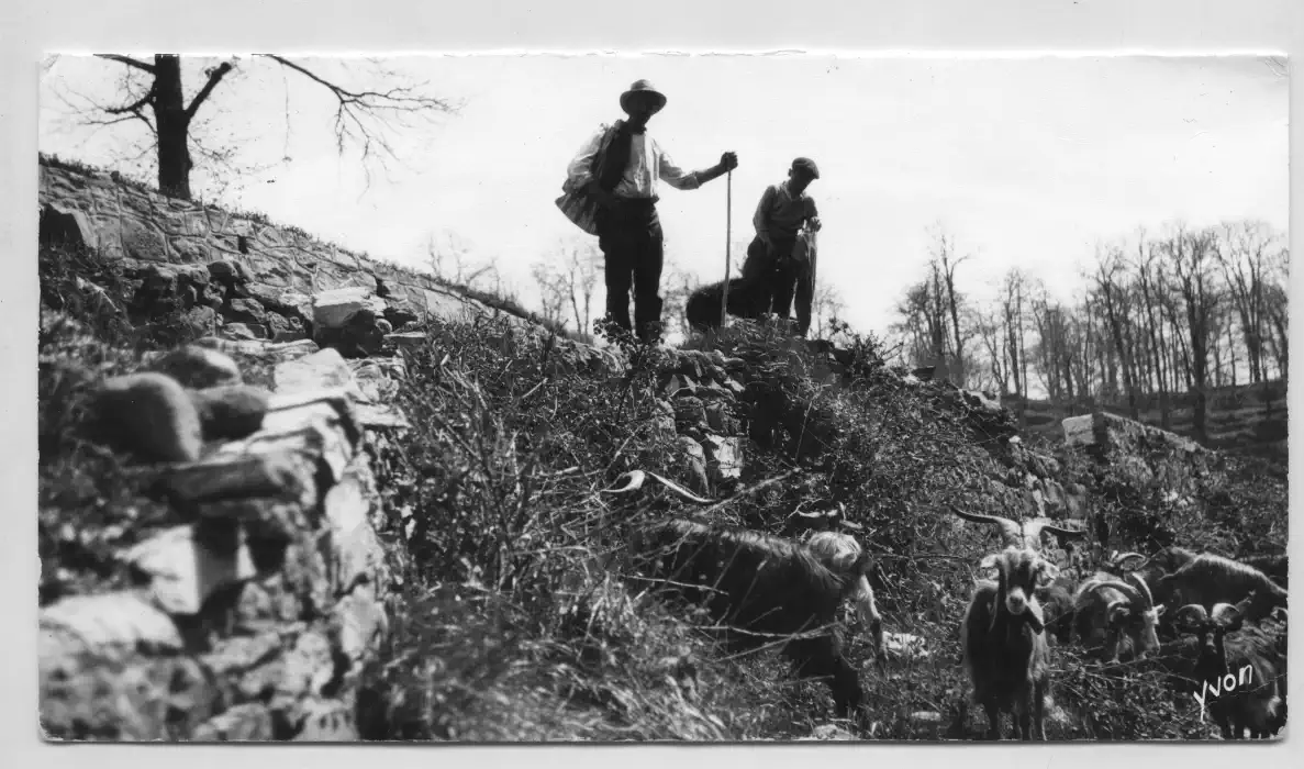 Foto archivio Spolveriamo