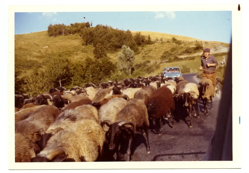 Gara di Boccie – Autore A. Mozzoni